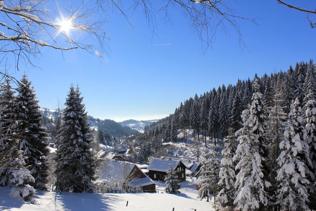 Ferienhaus Anno Dazumal, Wie Zu Oma'S Zeiten Daire Klingenthal Dış mekan fotoğraf